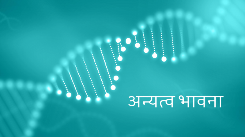 अन्यत्व भावना	