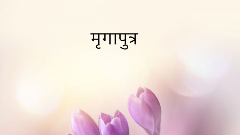 मृगापुत्र