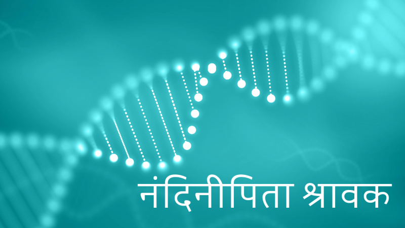 नंदिनीपिता श्रावक 